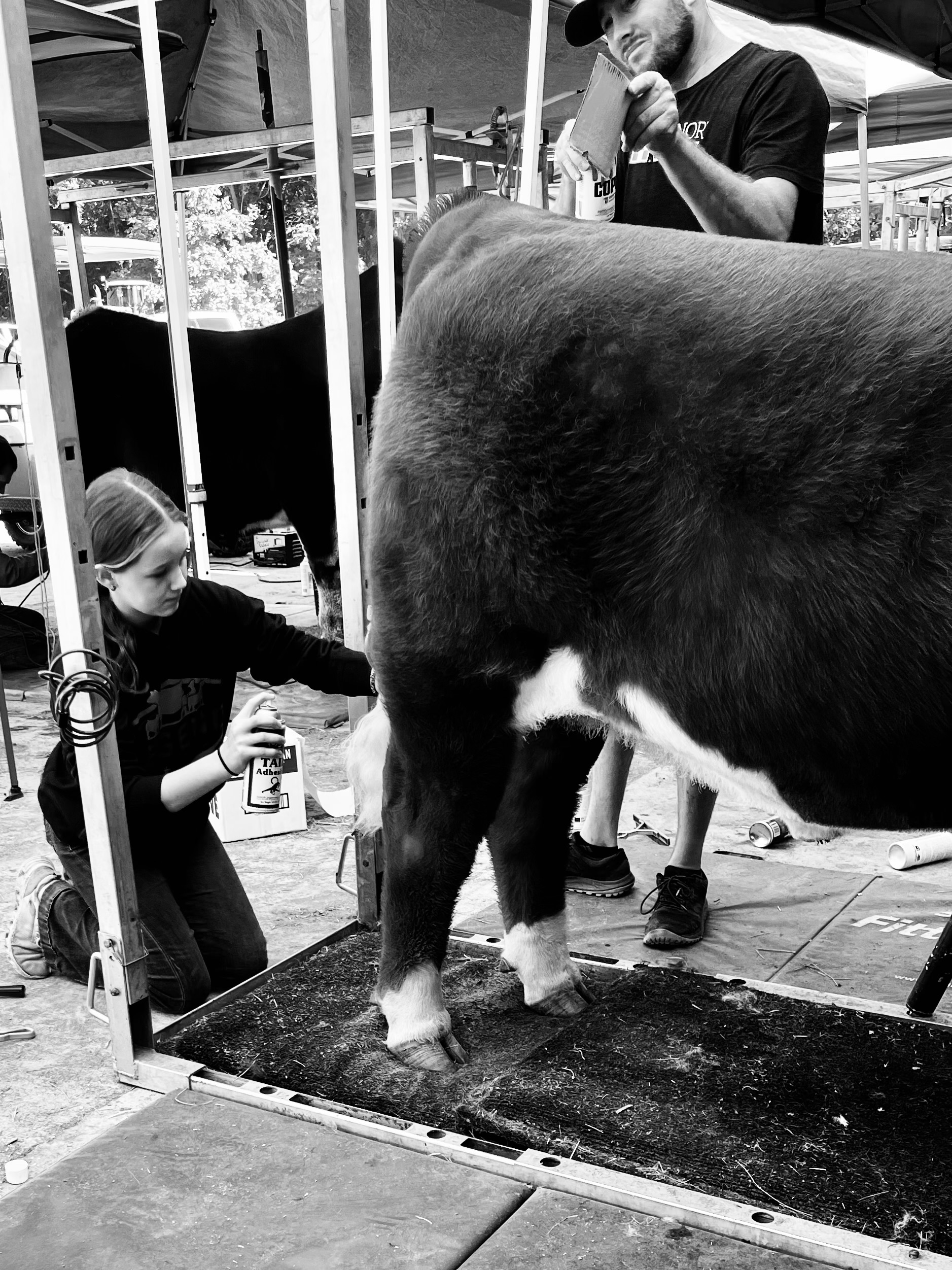 3rd-place-senior-cattlemen-brooklynn-hulmes-lee