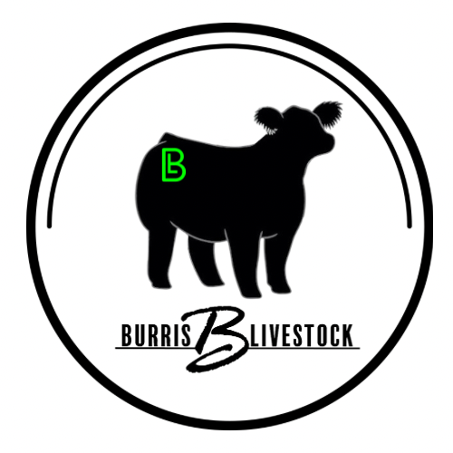 91255054_bl_logo.png 91255054_bl_logo.png