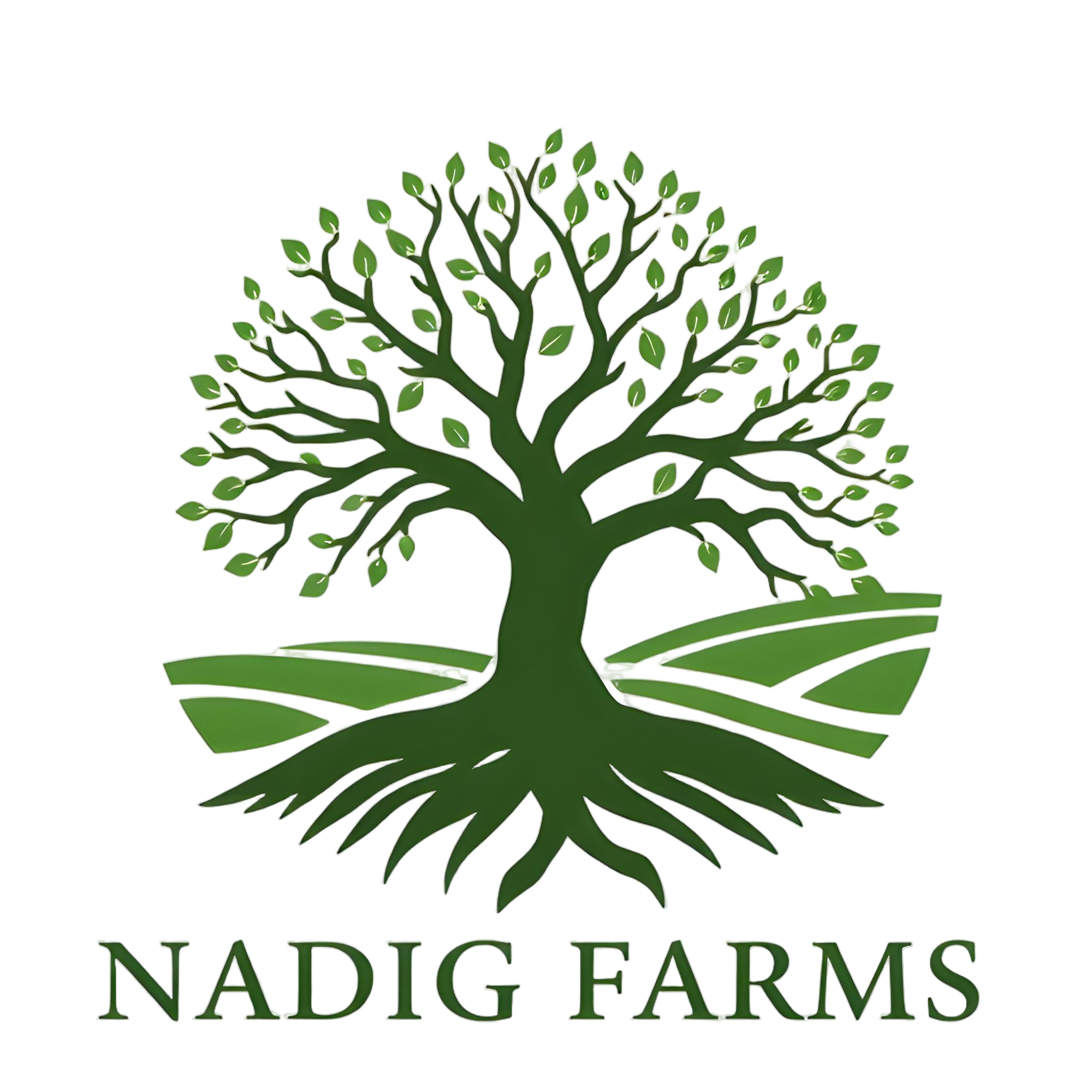 91255054_nadig-farms-logo-6.png 91255054_nadig-farms-logo-6.png