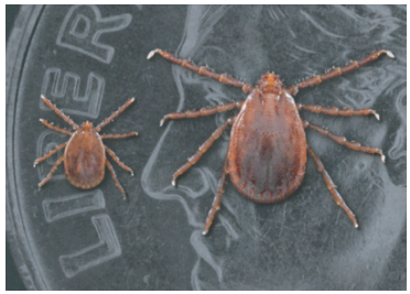 altick-photo-2.png altick-photo-2.png