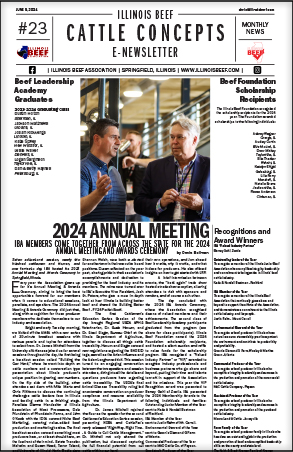 ama_issue23.jpg