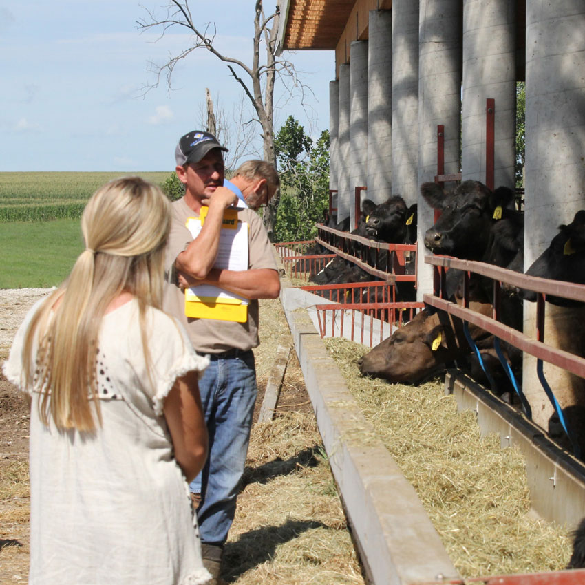 Cattle Feeding Tour Lecture