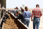 Cattle Feeding Tour