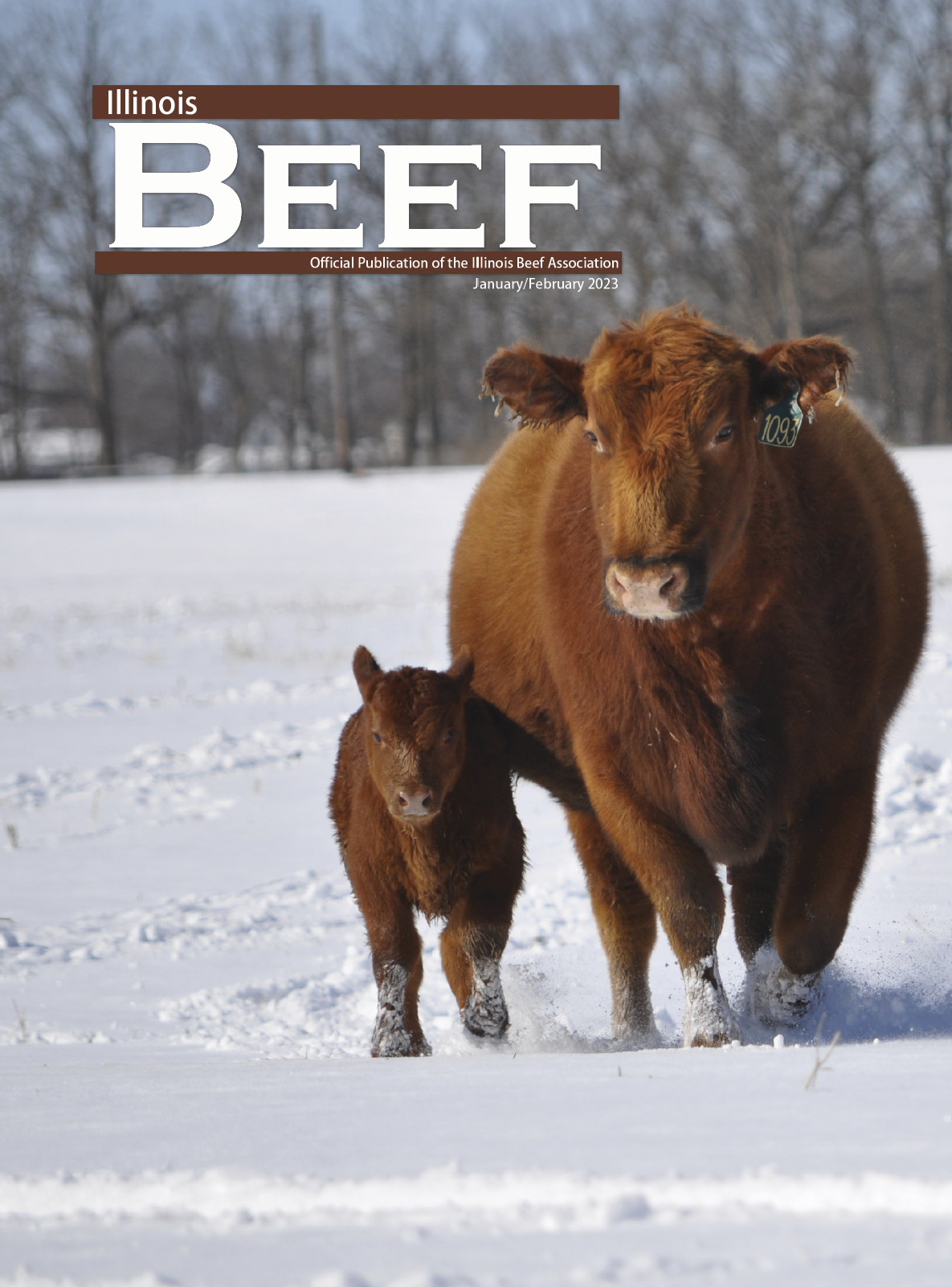 Illinois Beef January/February 2023