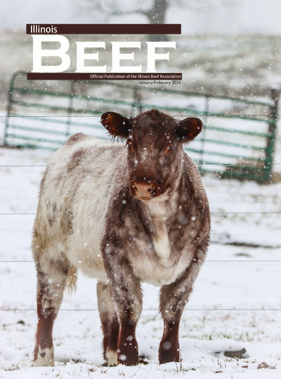 2024 Illinois Beef January/February 2024