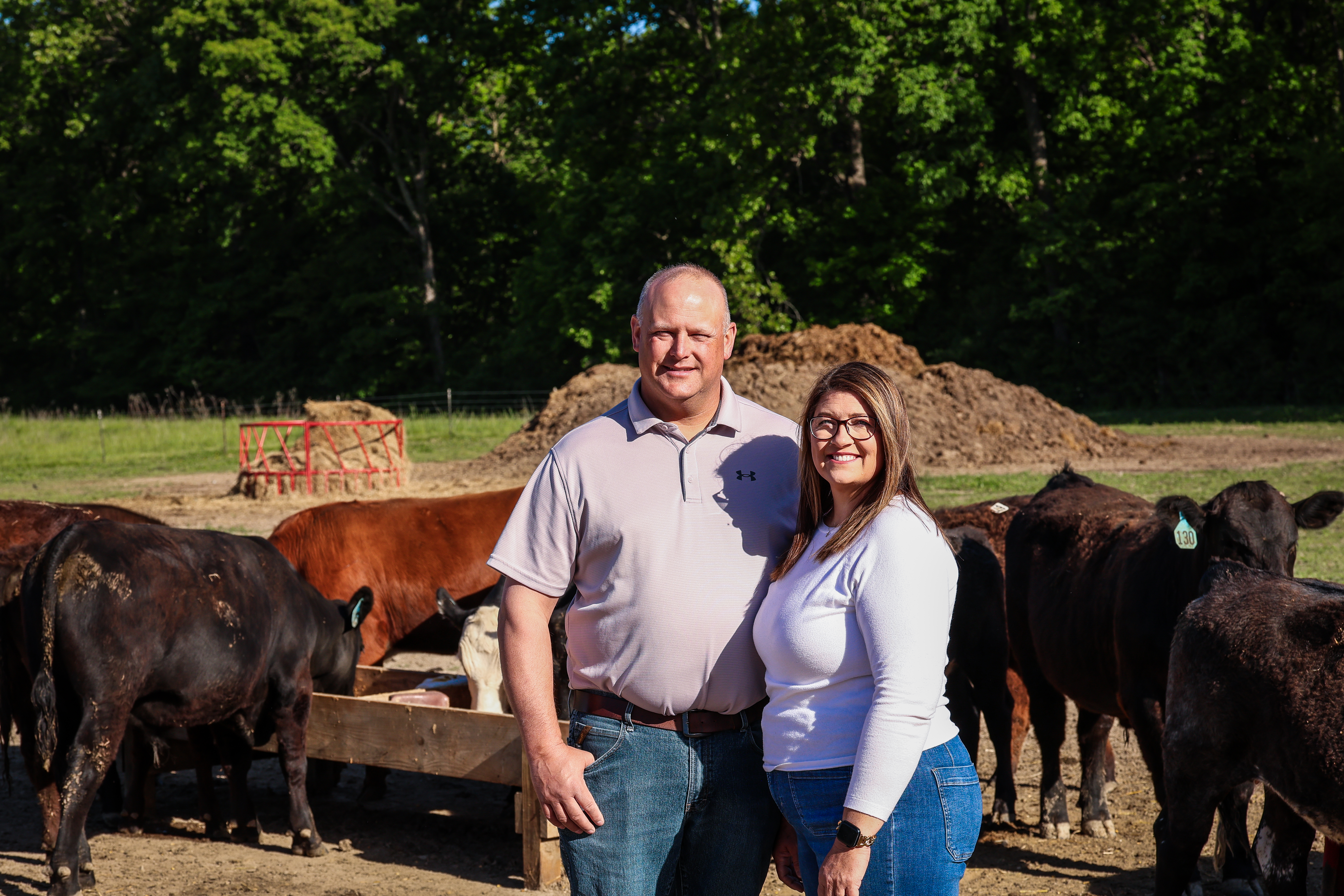 Schutz Livestock 2026 Commercial Producer