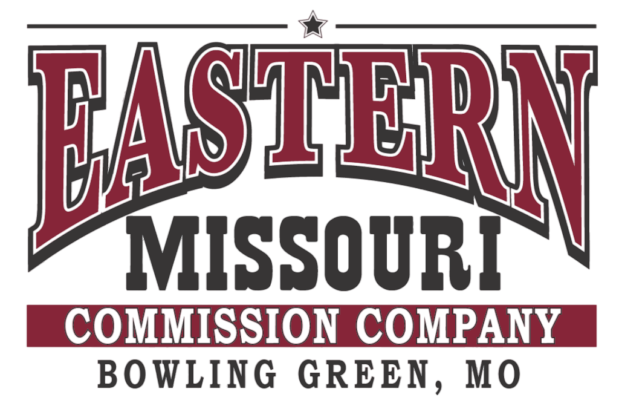 emcc-logo-no-background.png