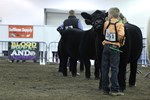 Expo