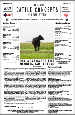 february_issue33.jpg