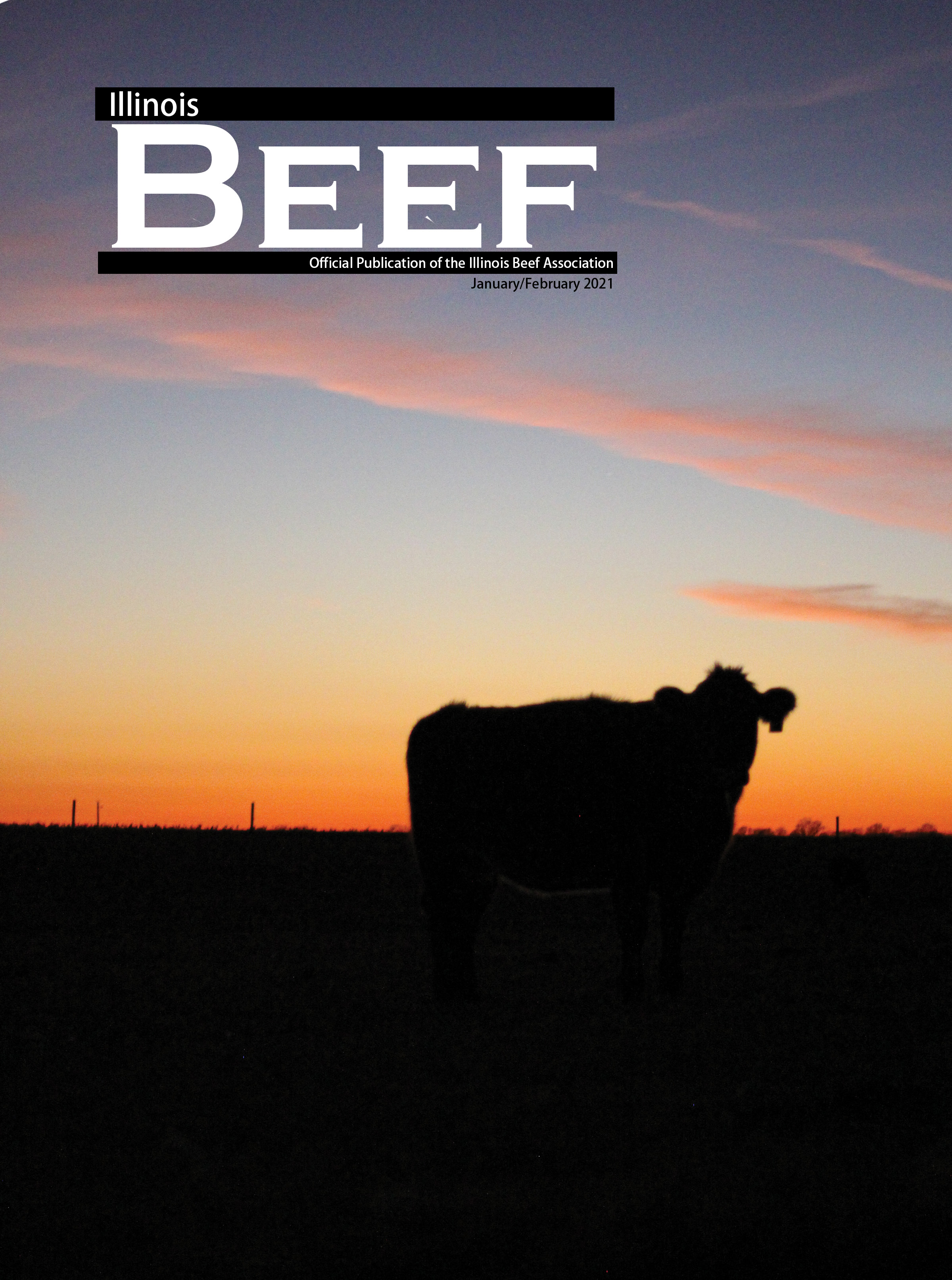 Illinois Beef January/February 2021