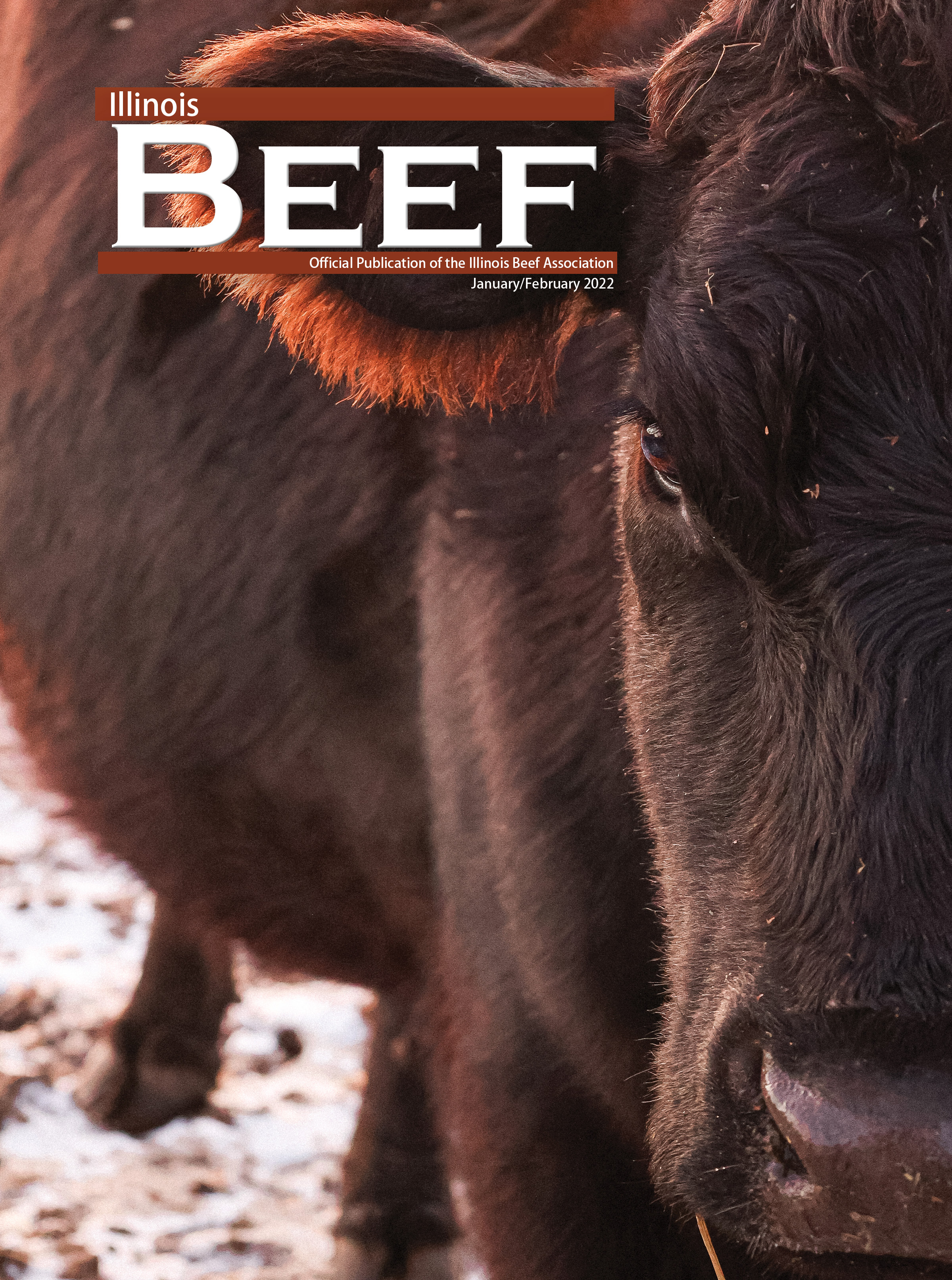 Illinois Beef January/February 2022