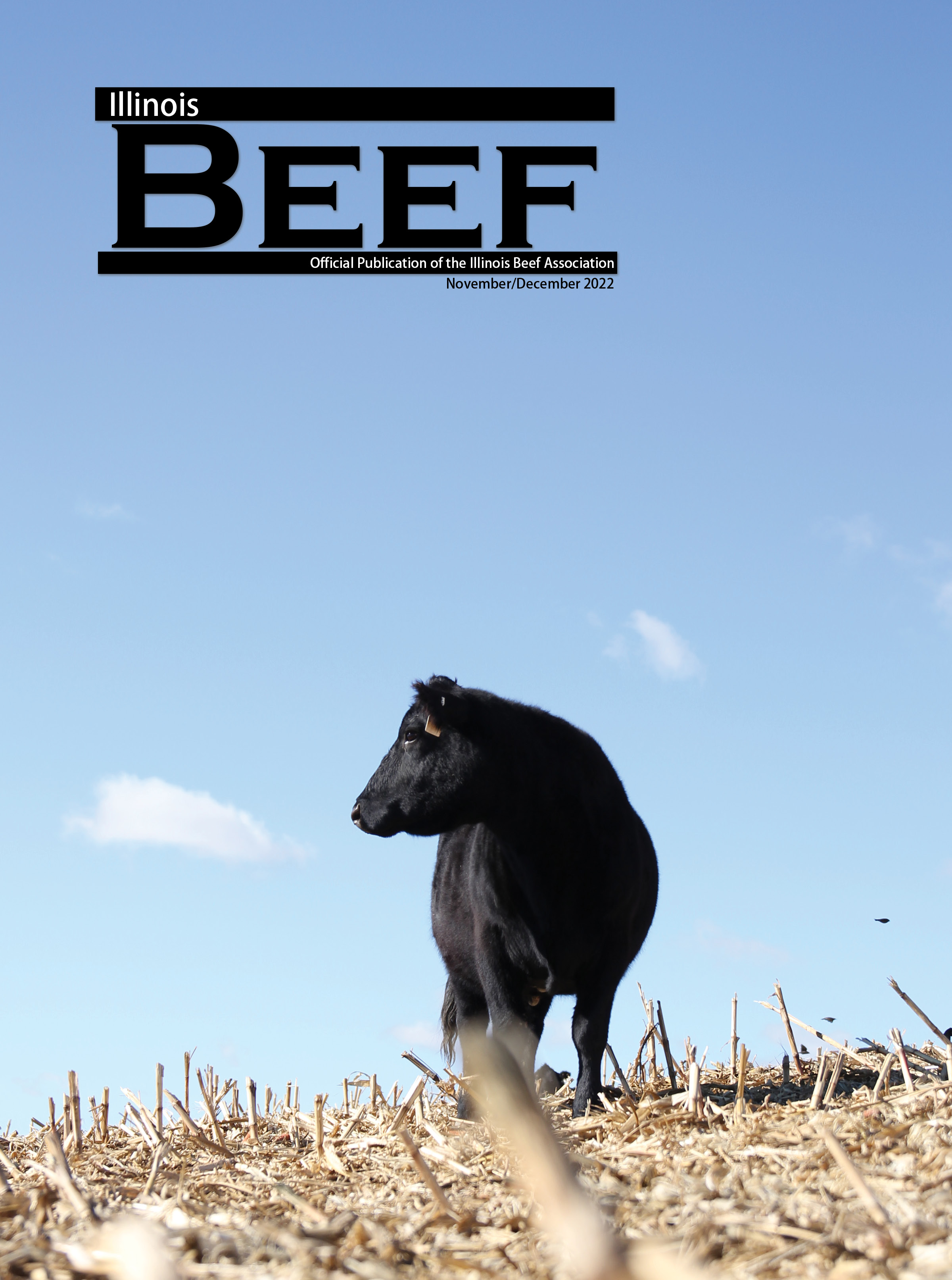 Illinois Beef November/December 2022