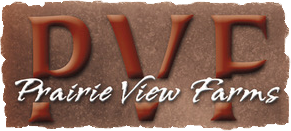 PVF Logo