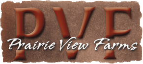 logo-1.png PVF Logo