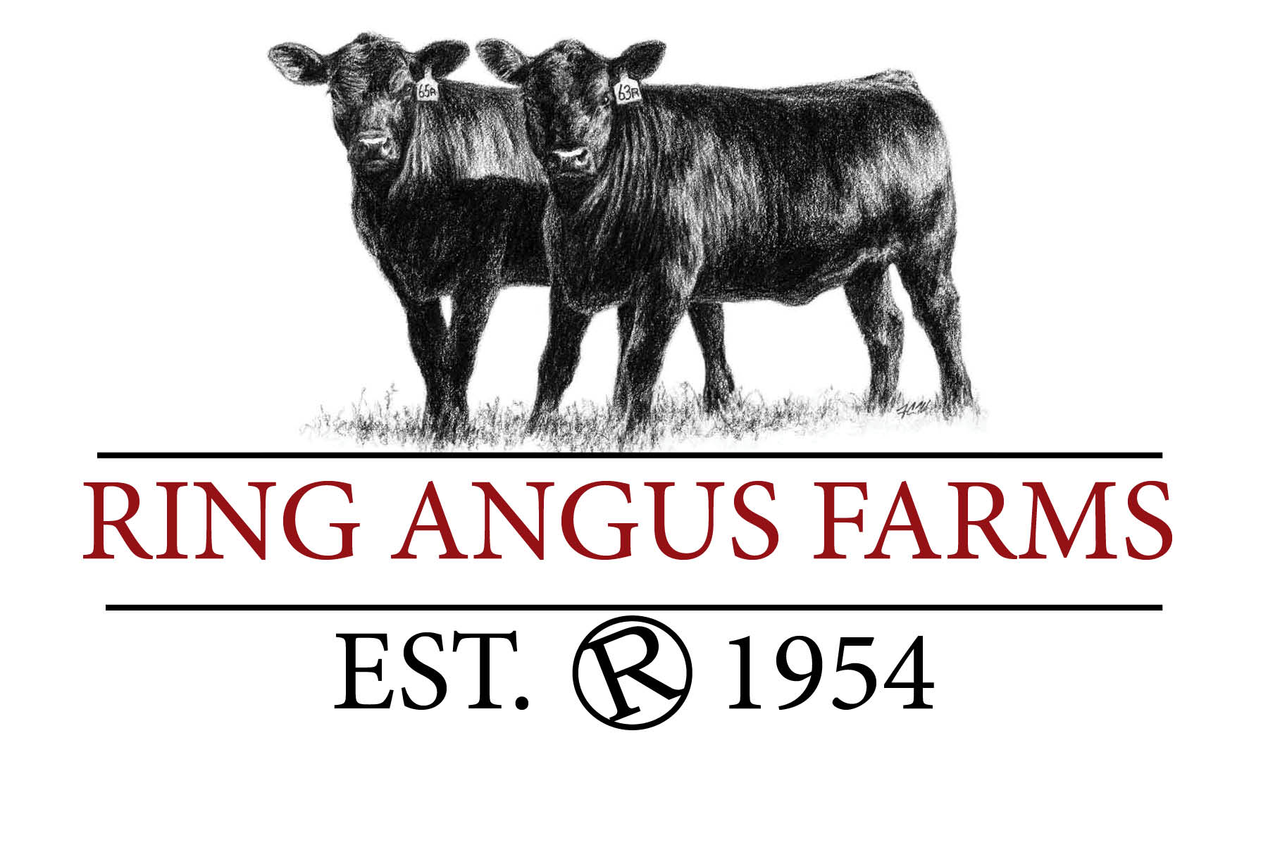 logo.jpg logo.jpg
