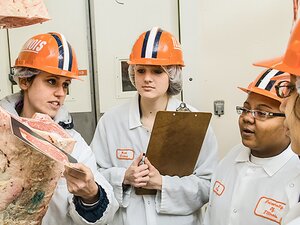 meat-evaluation-team-0