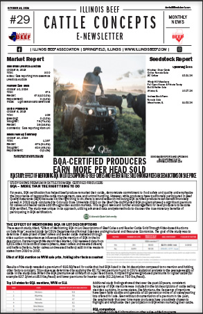 october_issue29.jpg