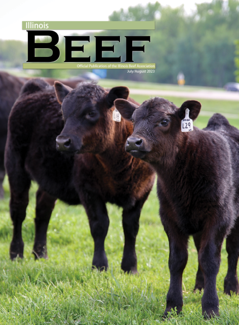 Illinois Beef July/August 2023