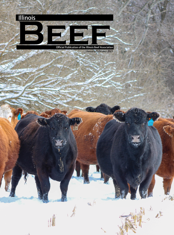 Illinois Beef January/February 2025