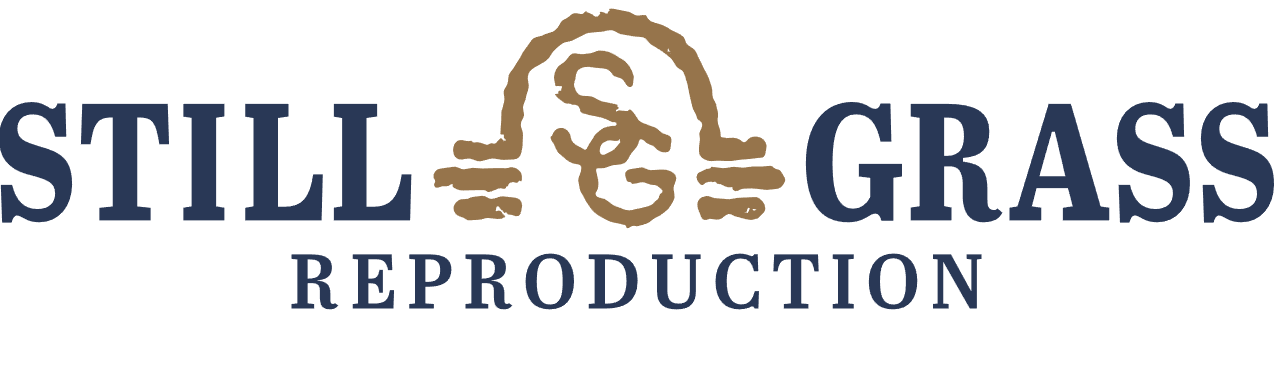 stillgrass-vet-logo.png stillgrass-vet-logo.png